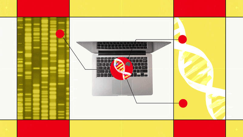 Hugging Face’s New AI Biology Model Lets You Chat With DNA — Wired, São Paulo Technology news