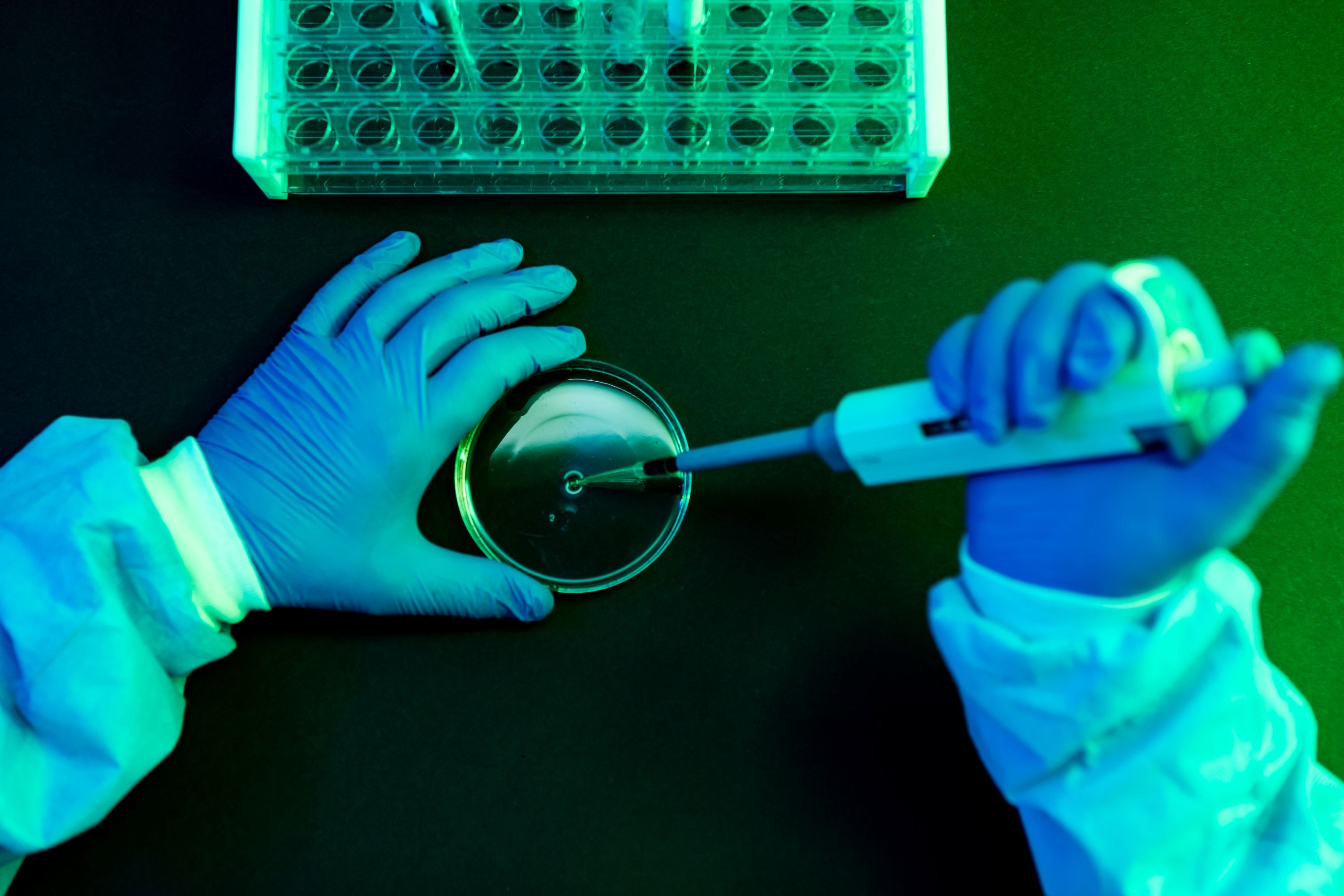 What to Know About Shamonda Virus Following the First Reported Human Infection — Wired, São Paulo Technology news